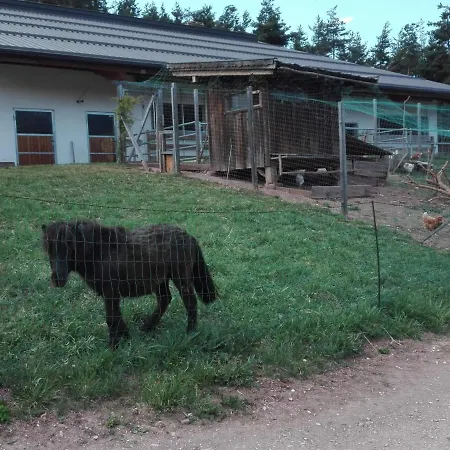 Farm stay Parlunkhof Castelrotto